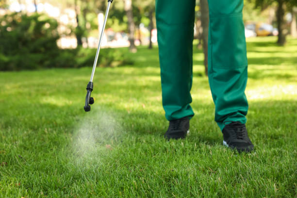 Best Affordable Pest Control Services  in Plum, PA