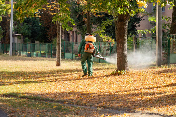Best Pest Control Treatment  in Plum, PA