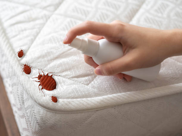 Best Emergency Pest Control  in Plum, PA