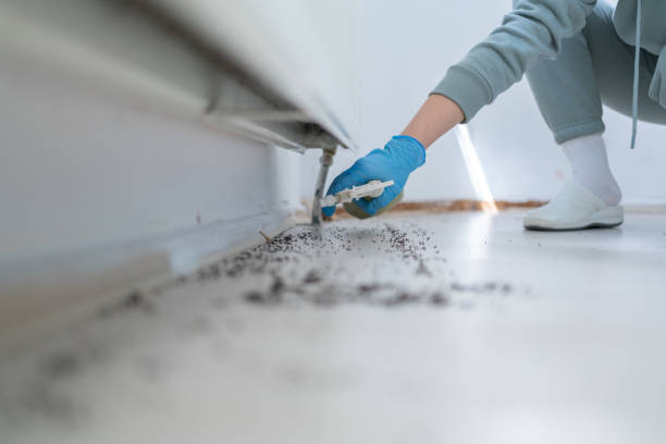 Best Pest Removal Services  in Plum, PA