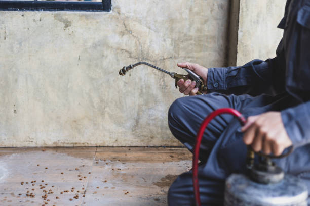 Best Termite Control Services  in Plum, PA