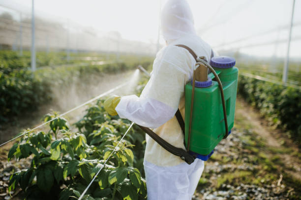 Best Exterminator Services  in Plum, PA